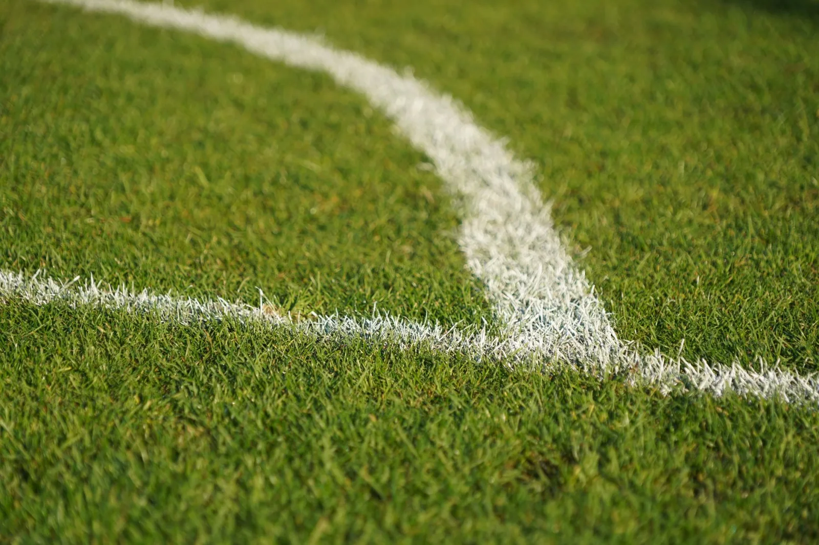 Lawn Care & Results