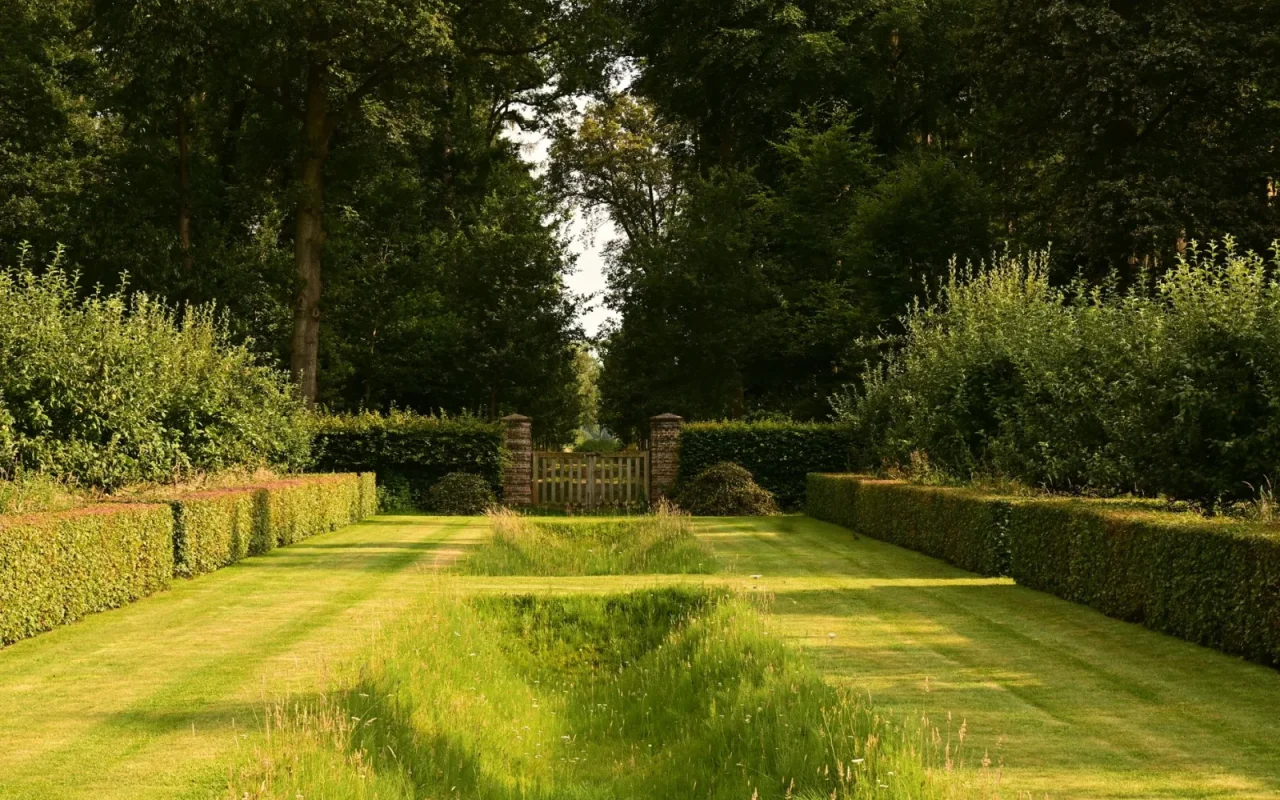 Boundary wire pegged along a lawn edge next to a garden path and flower bed