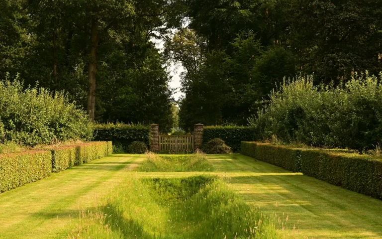 Boundary wire pegged along a lawn edge next to a garden path and flower bed