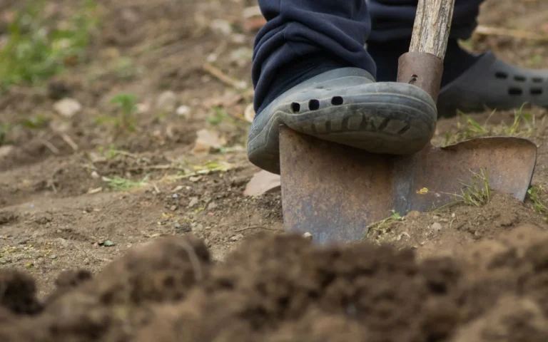 Person tucking a robot mower boundary wire into a shallow slot along a lawn edge