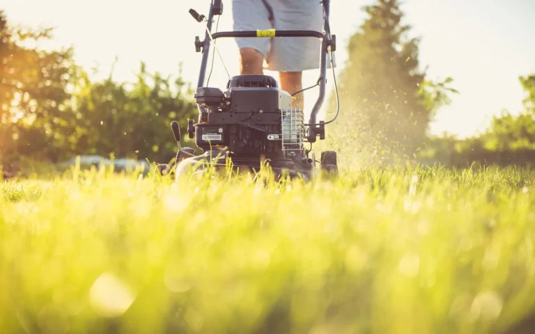 A robot mower stuck against a tight lawn corner during a first-day setup test