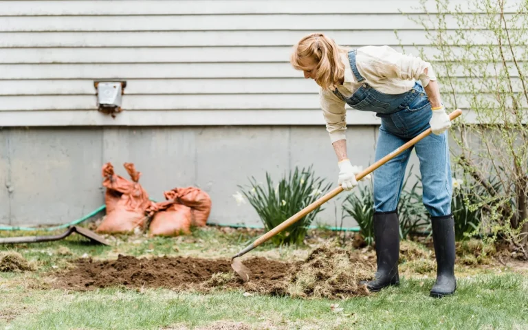 A green lawn with a worn bare patch of soil where grass has thinned out