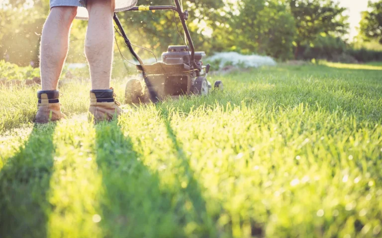 Close view of a worn robot mower blade next to a sharp new replacement blade