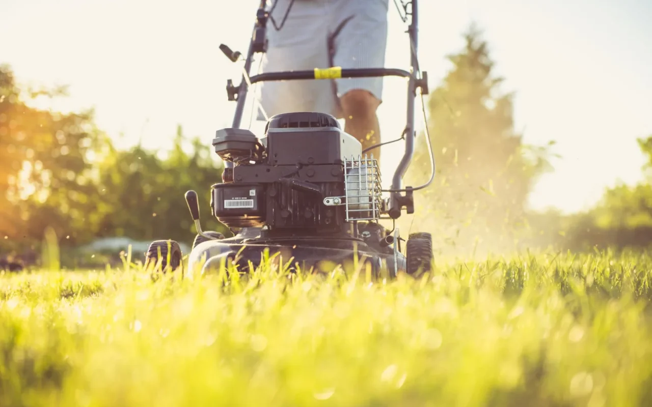Homeowner setting up a robot lawn mower and charging dock on a green suburban lawn