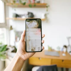 Homeowner checking a robot mower app notification on a phone beside a green lawn
