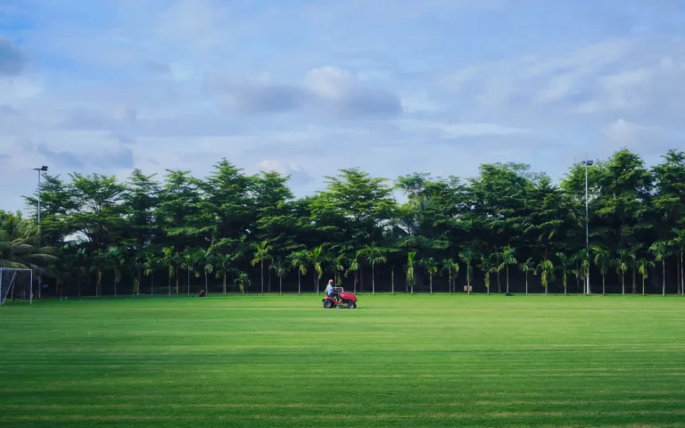 Robot mower crossing a lawn boundary near a flower bed on a wide green yard
