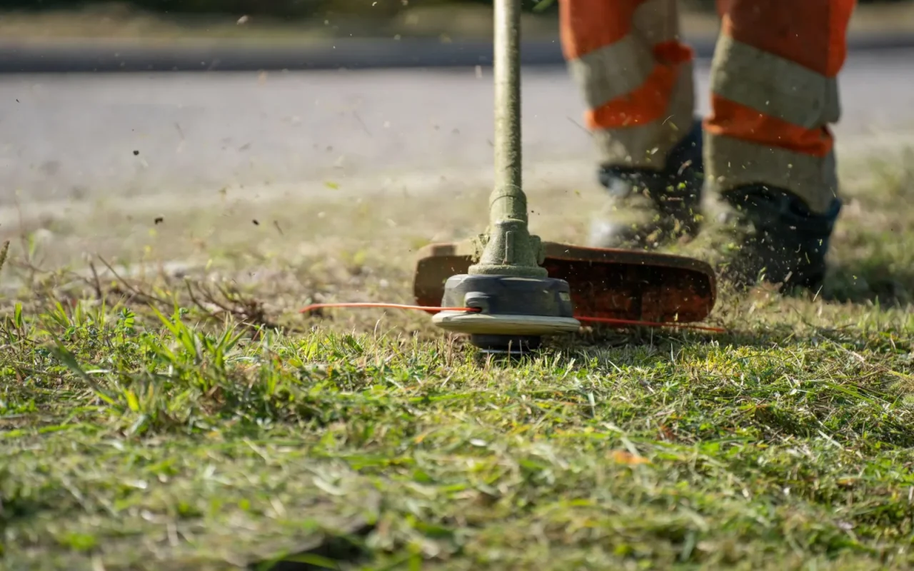 String trimmer edging the border where a lawn meets a garden bed
