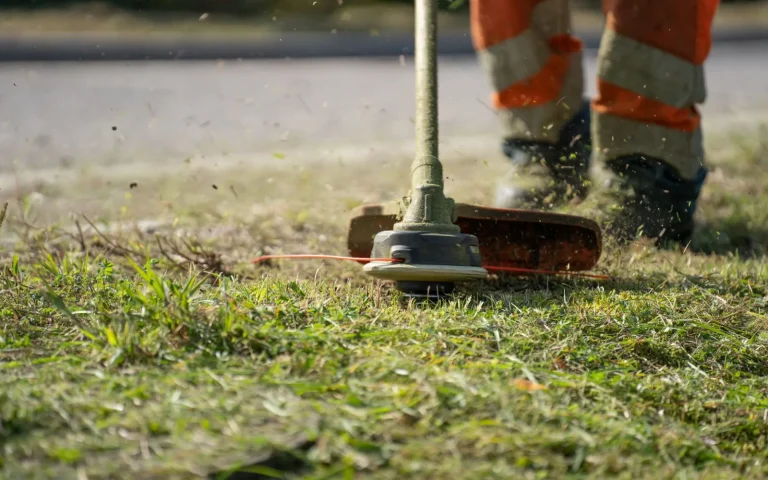 String trimmer edging the border where a lawn meets a garden bed