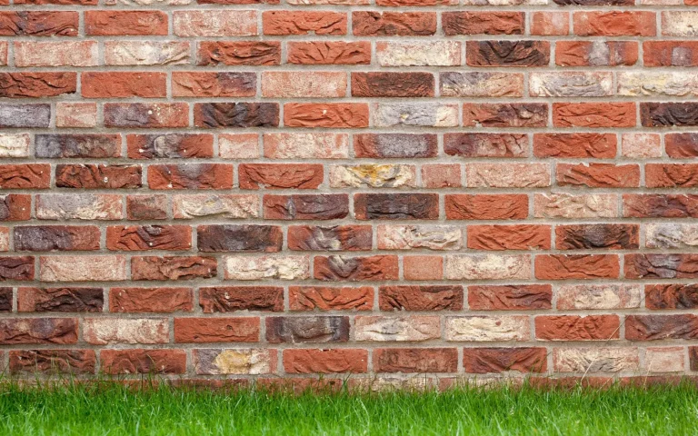 Lawn with a patch of longer grass missed by a robot mower next to an even cut area