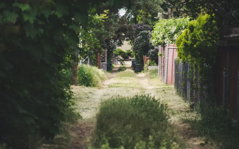 Robot mower driving through a narrow grass passage between a fence and garden bed