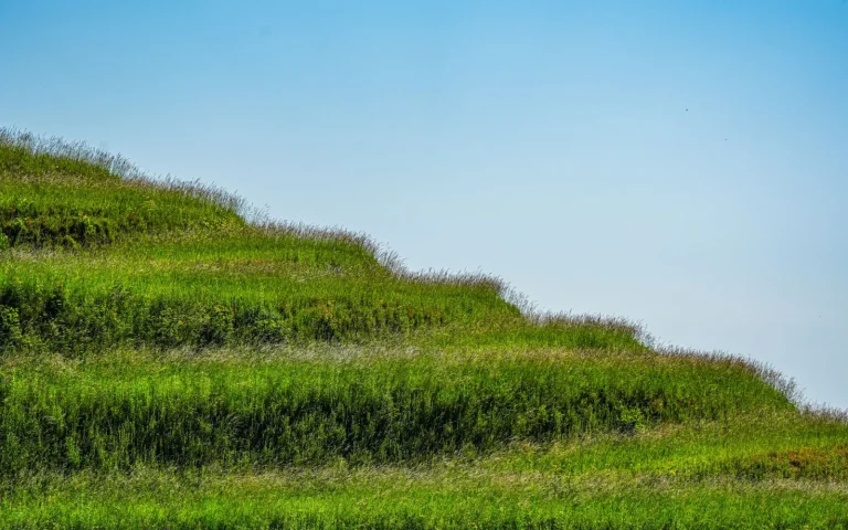 Robot lawn mower cutting grass on a green sloped hillside lawn