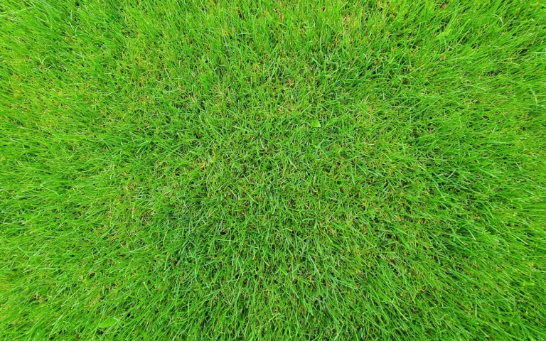 Robot mower starting its first run of spring on a fresh green lawn after winter