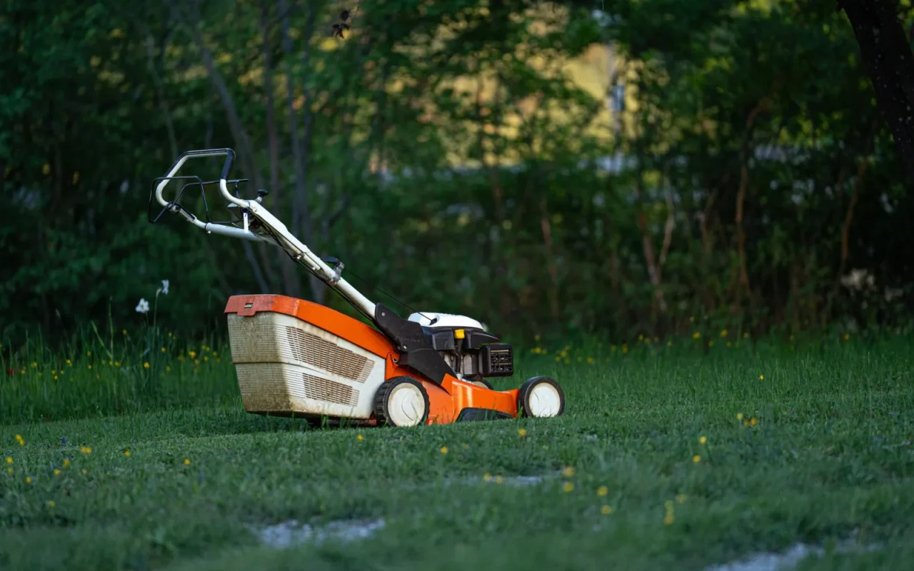 Empty robot mower charging base on a lawn with no machine docked at dusk