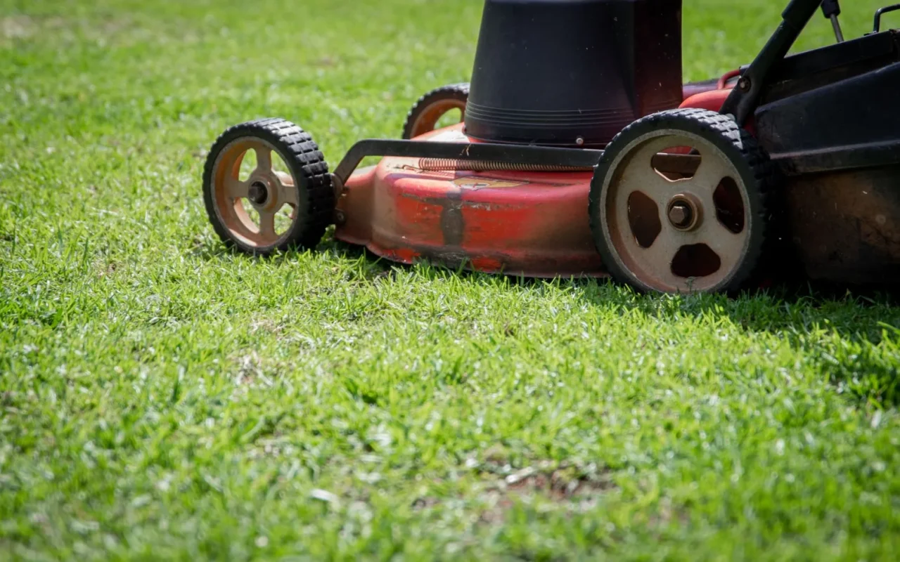 Robot lawn mower close up on grass with charging dock nearby in a home garden