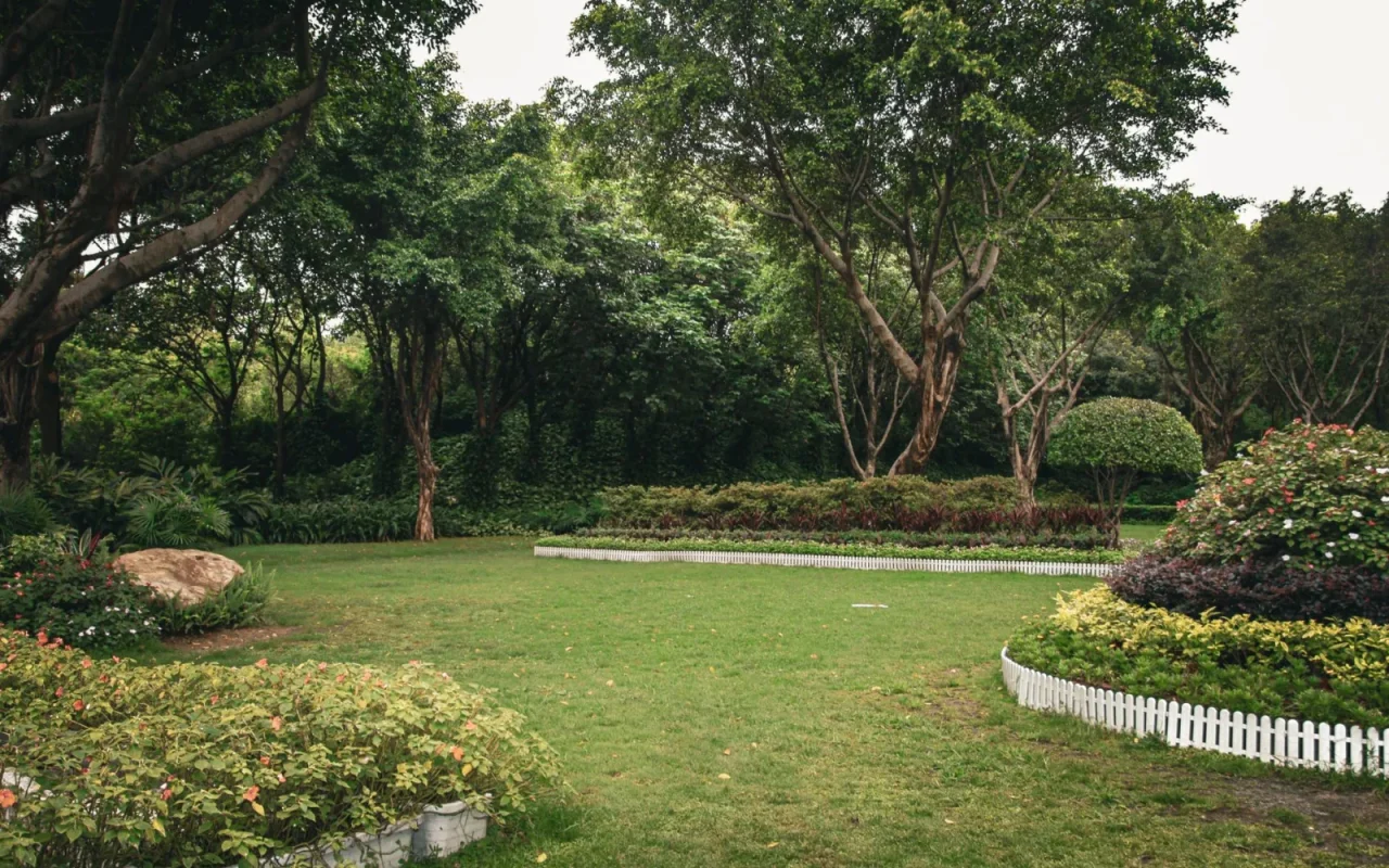 Manicured green lawn showing an even carpet-like cut beside a striped section