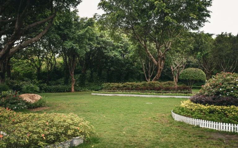 Manicured green lawn showing an even carpet-like cut beside a striped section