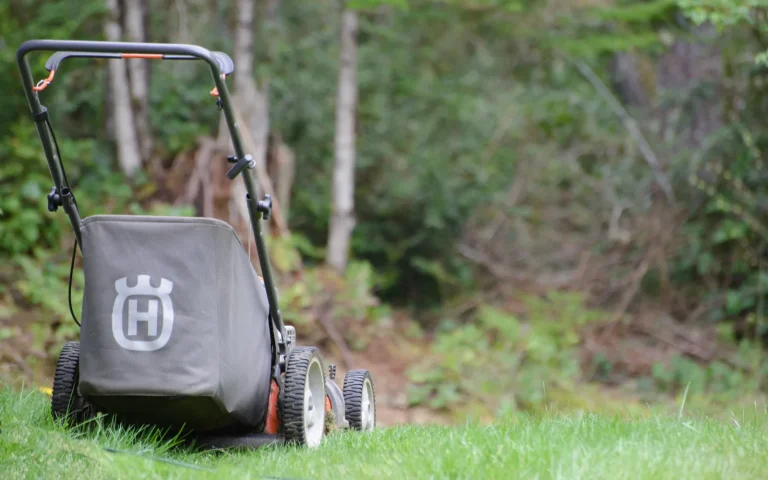 A robot lawn mower cutting green grass beside a pegged boundary wire on a lawn edge