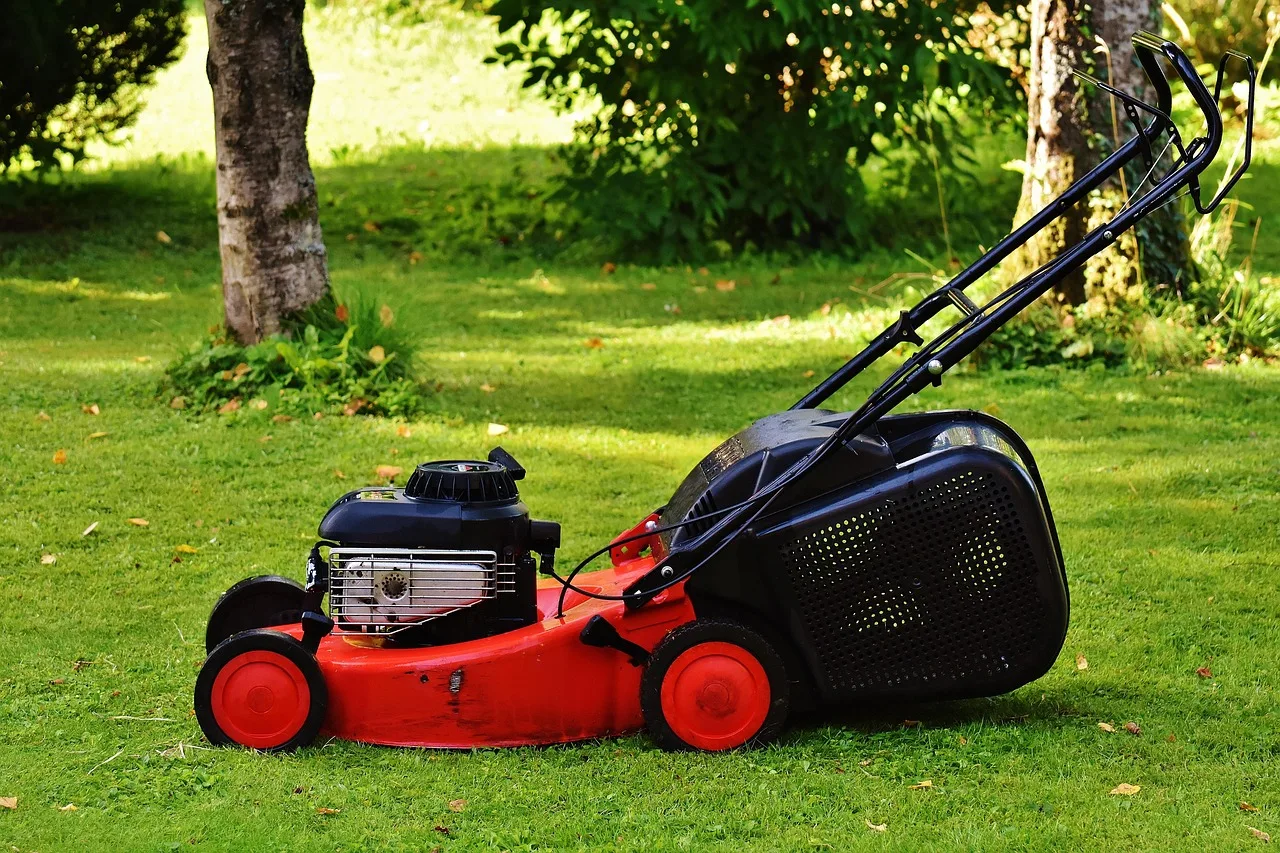 Robot lawn mower moving across a vibrant green backyard lawn on a clear day