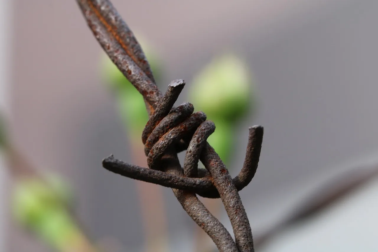 Waterproof gel-filled connector joining two boundary wire ends in the soil