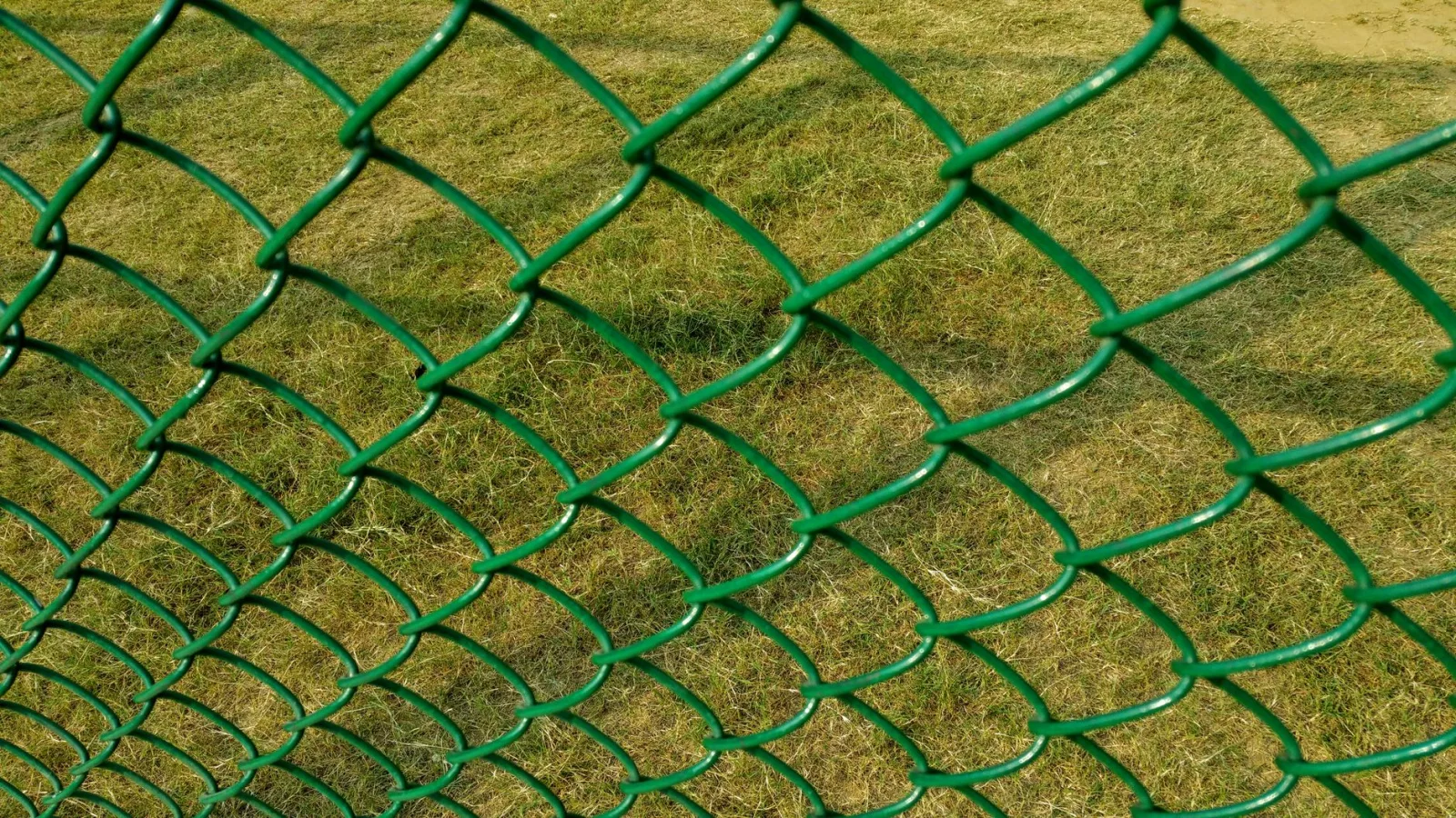 Boundary wire pegged along the edge of a lawn beside a flower bed