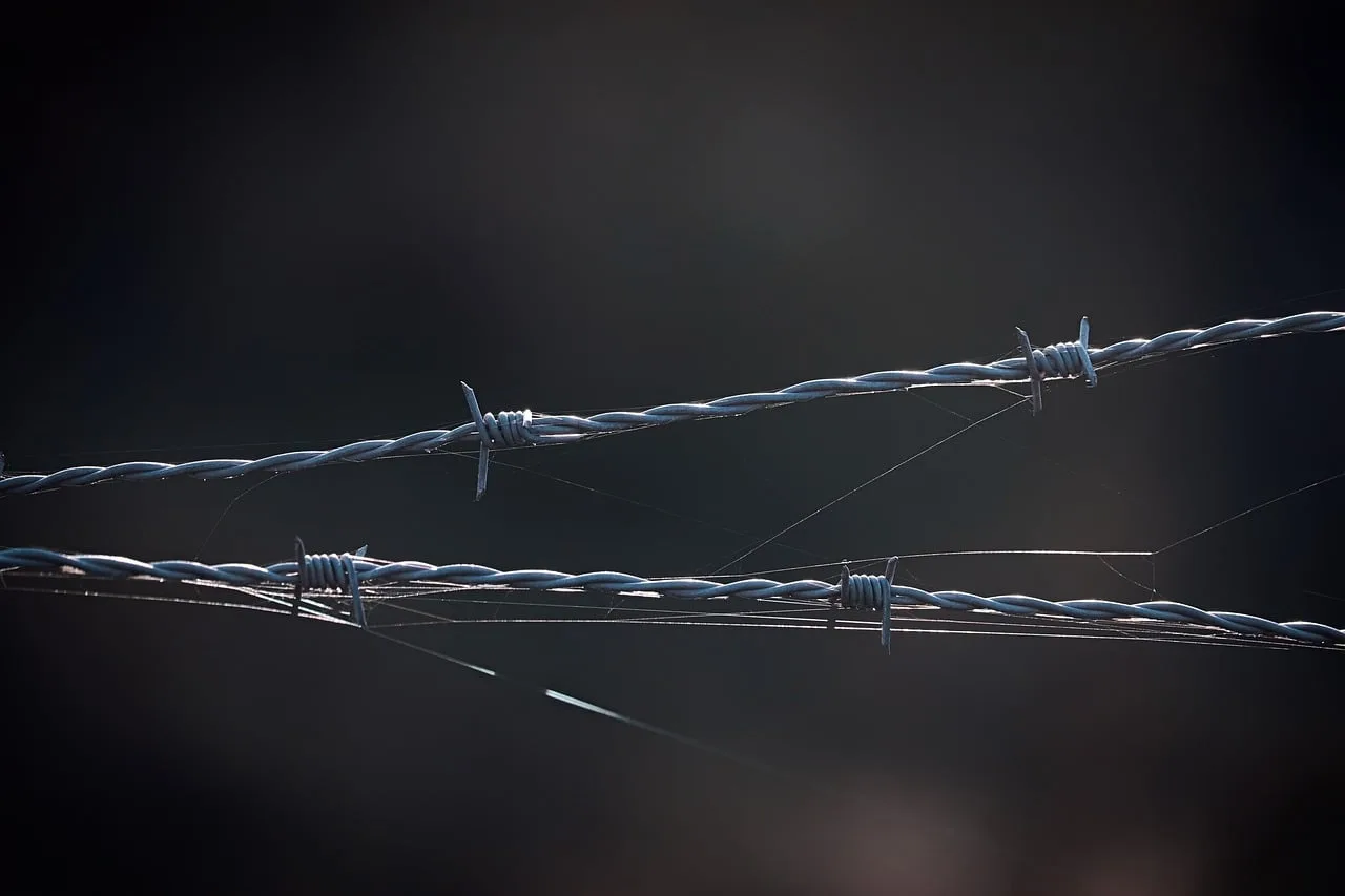 Boundary wire pegged along a lawn edge guiding a robot mower's path