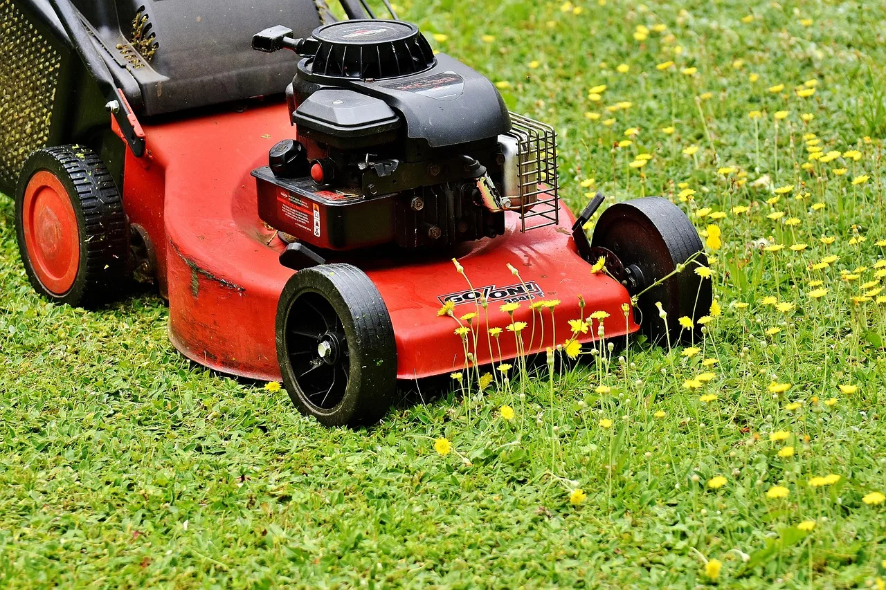 Small robot lawn mower trimming a lush green residential lawn on a sunny day