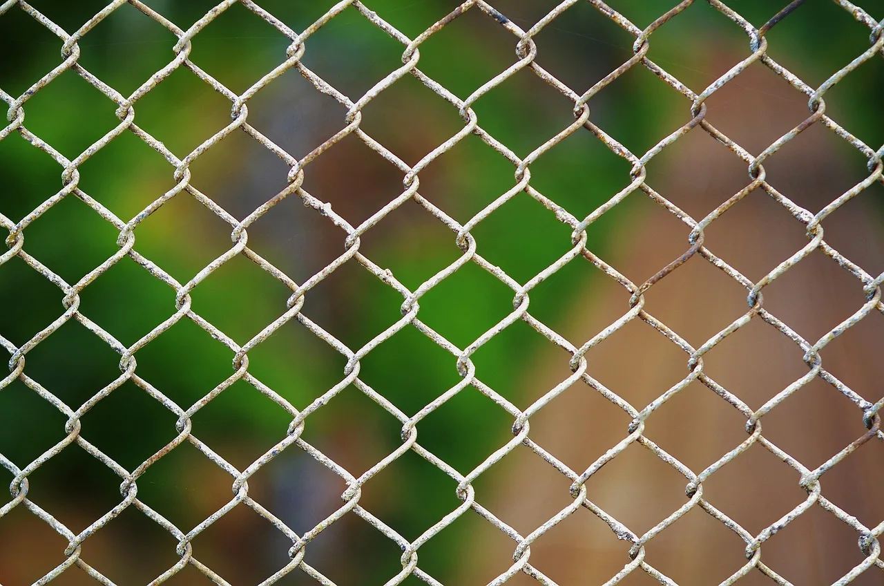 Boundary wire held down by a peg along a neat lawn edge in a garden