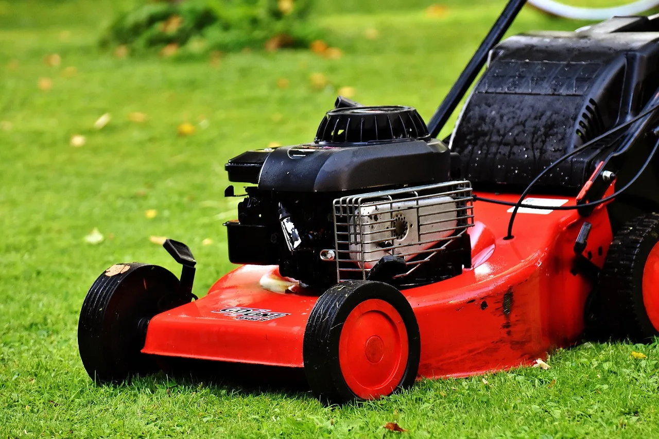 A robot lawn mower recharging at its dock on the edge of a green lawn