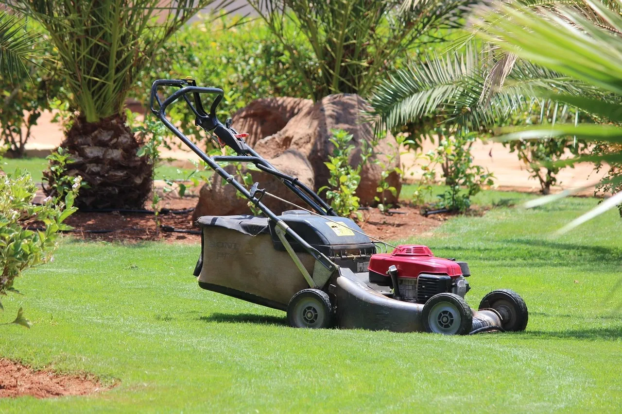 A curious dog watching a robot lawn mower move across a backyard lawn