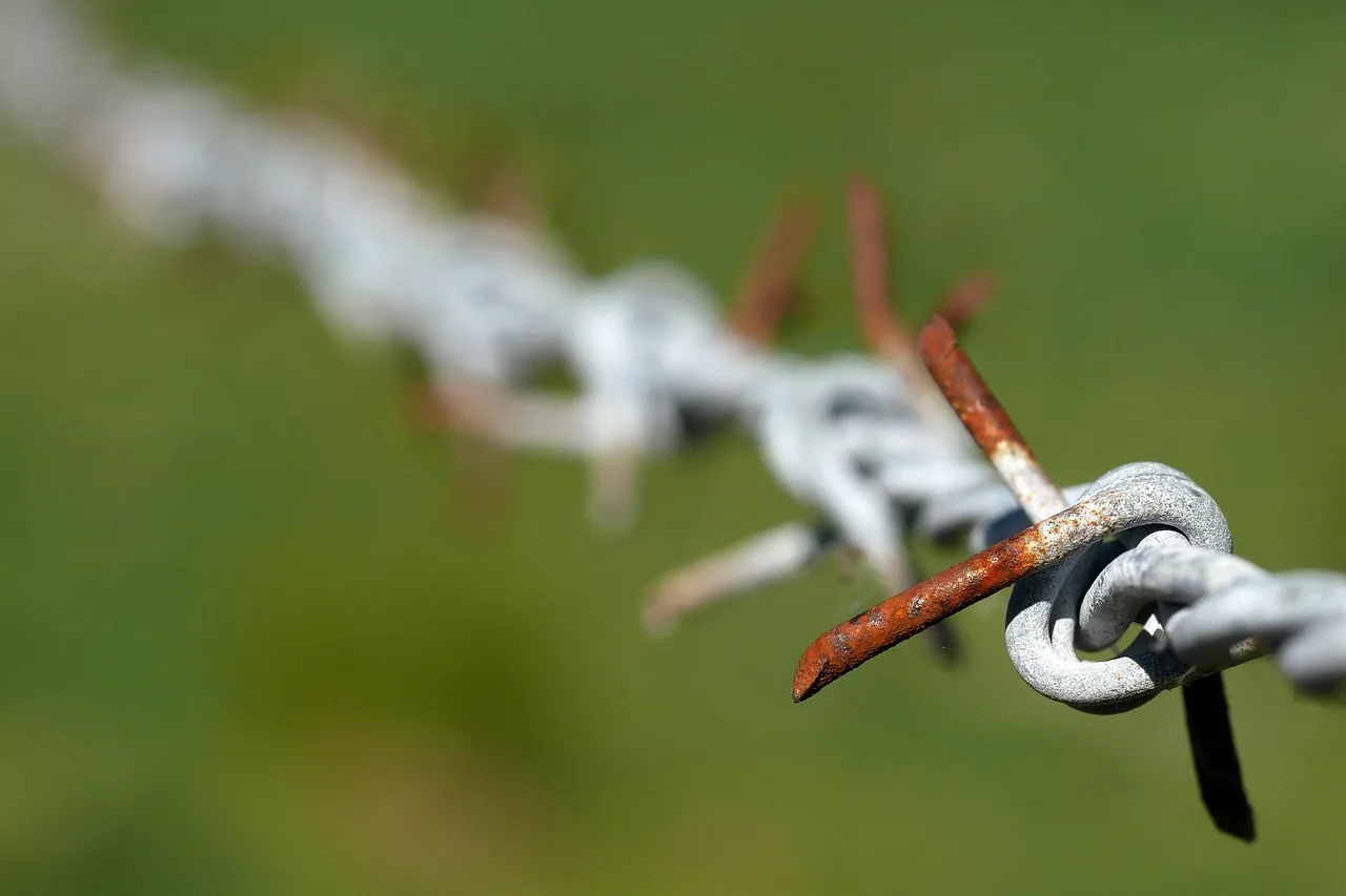 Robot mower boundary wire pegged along the grass edge of a lawn