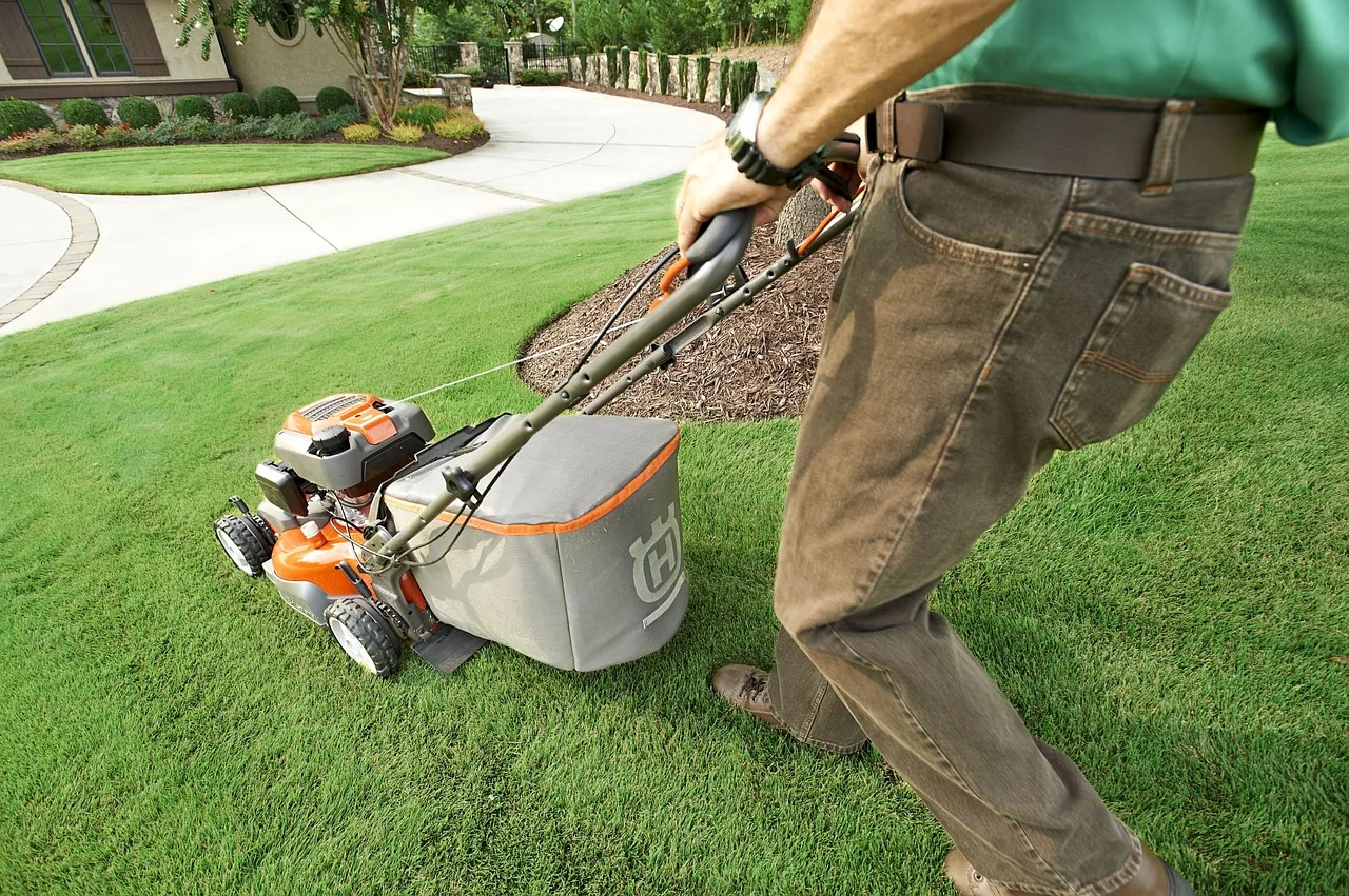 Wire-free robot mower on a lawn shaded by a large overhanging tree