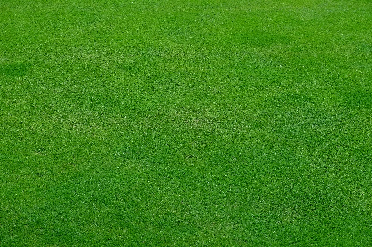 Soft brush clearing grass clippings from a robot mower on a garden bench