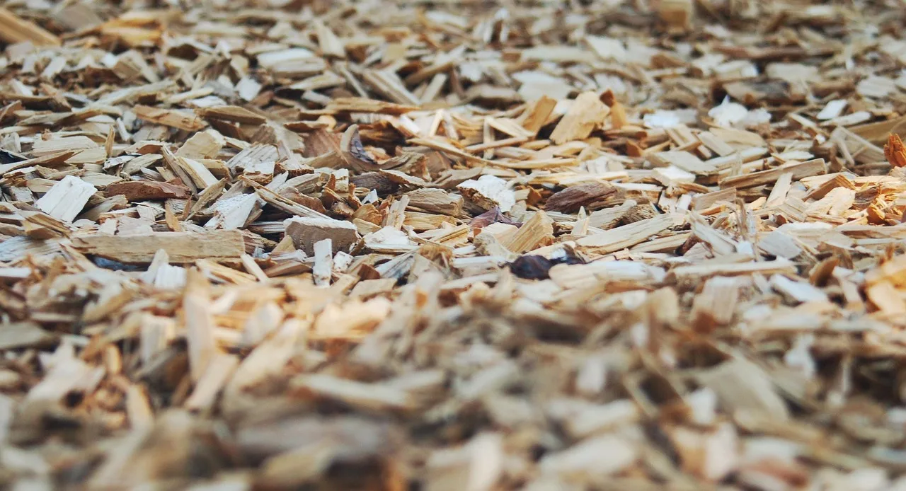 Tiny mulched grass clippings settling into a green lawn to decompose and feed soil