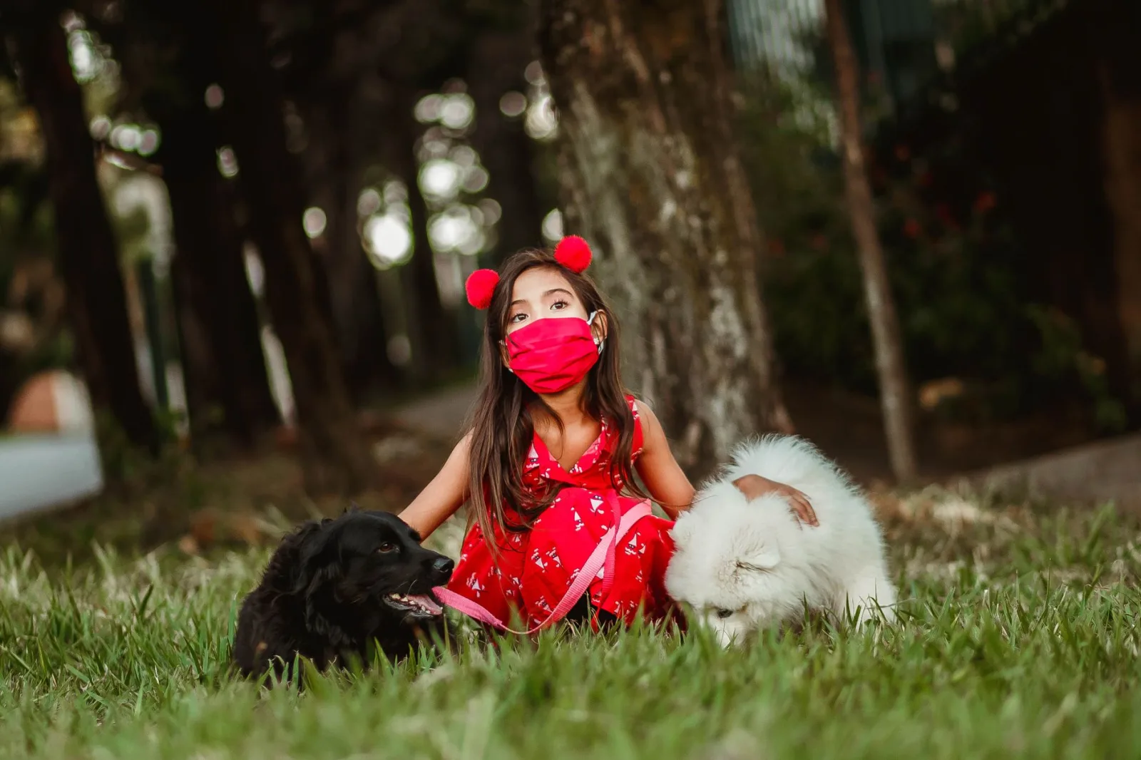 A child and a dog playing together on a bright green backyard lawn