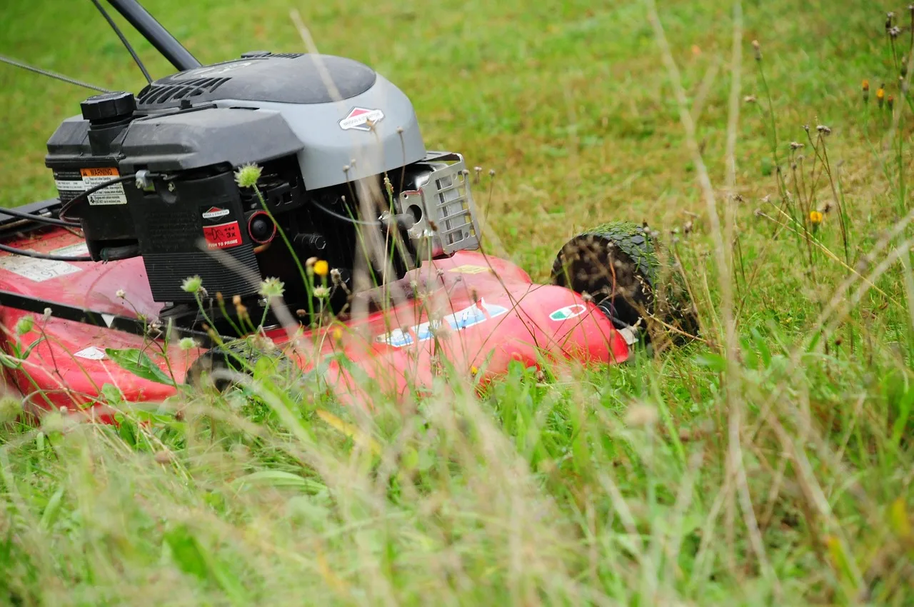 Close-up of a robot mower control app open on a smartphone screen outdoors