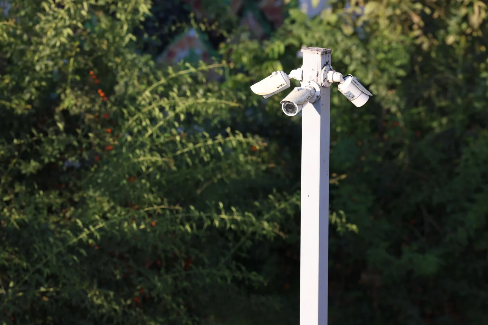 Outdoor security camera mounted on a house wall overlooking a back garden