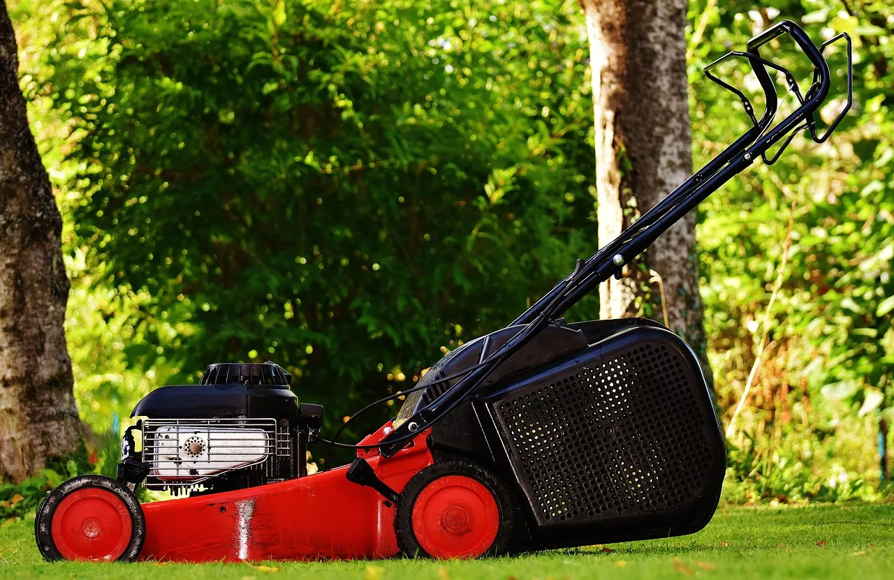 Robot mower parked on its docking station at the edge of a green lawn