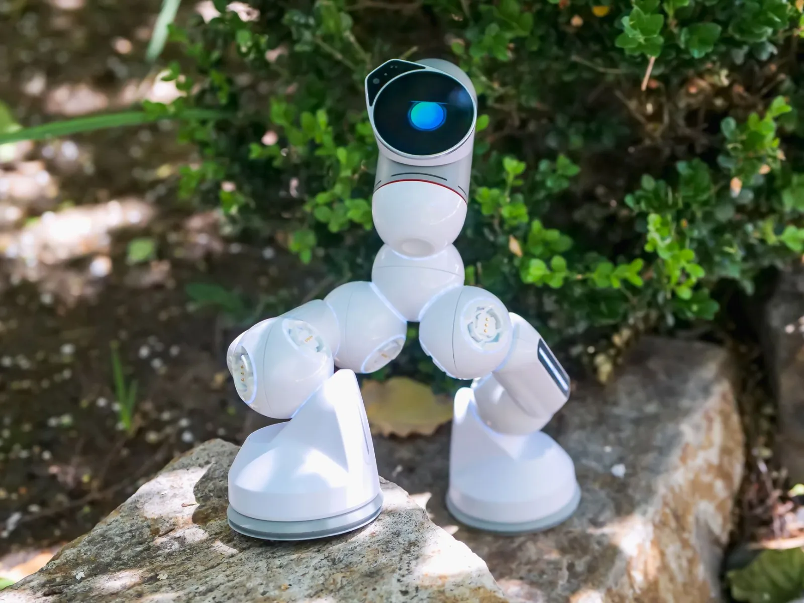 Front camera and sensors on a robot lawn mower detecting objects on the grass